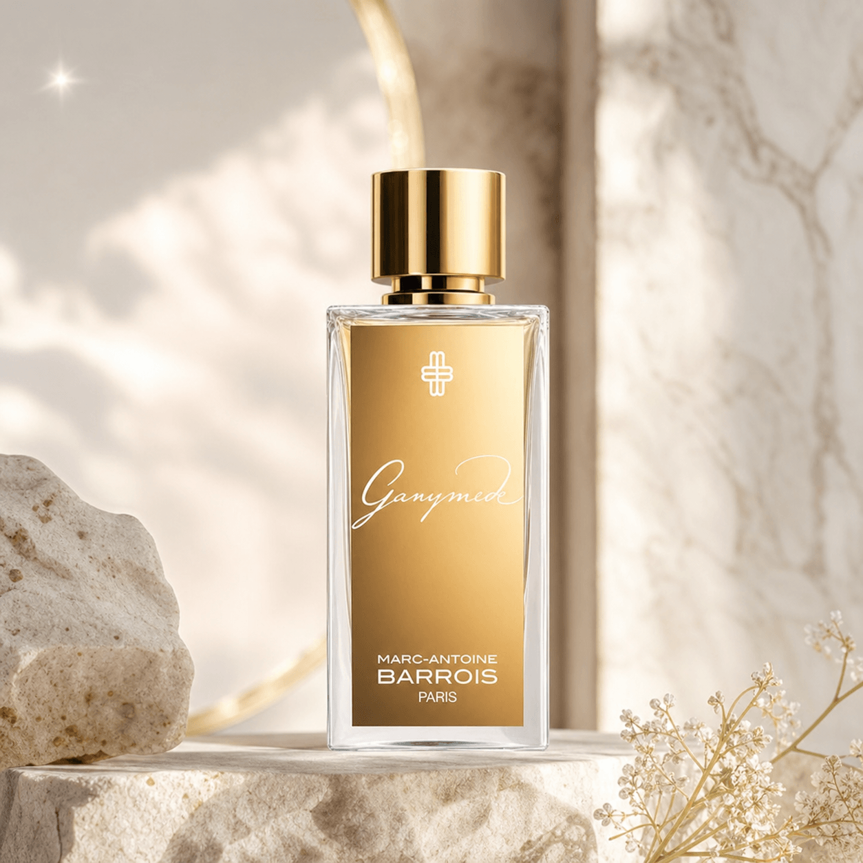 Ganymede | گانیمید